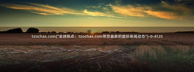 av免费视频观看