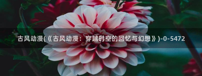 动漫av：古风动漫(《古风动漫：穿越时空的回忆与幻想》)