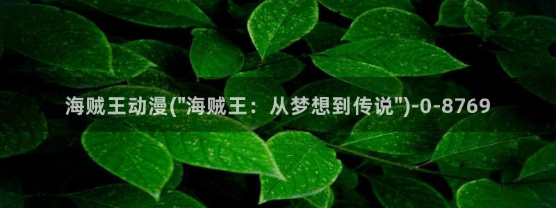 日本动漫网站：海贼王动漫(\