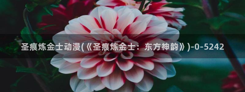 伦理动漫