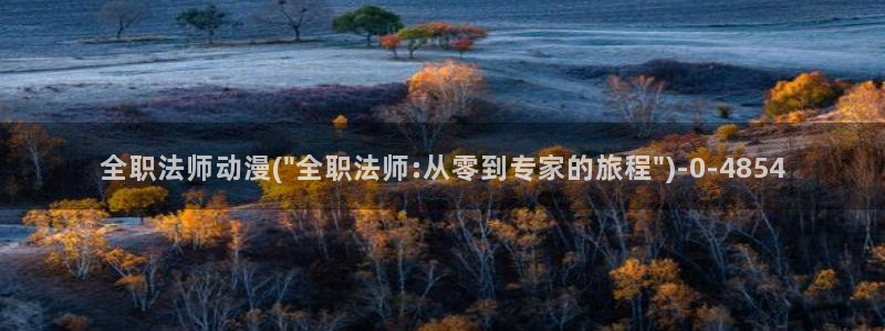 age动漫